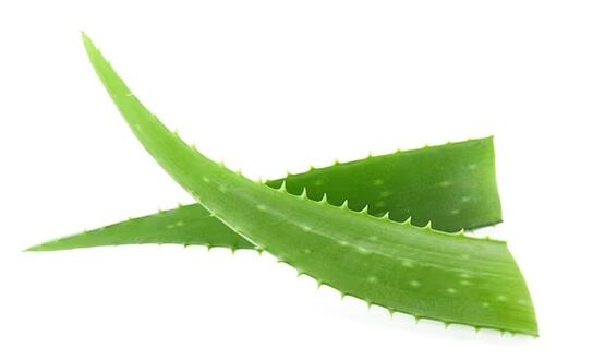 FUNGEENT RAND brand contains aloe vera