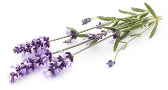 FUNGEENT RAND brand contains lavender oil